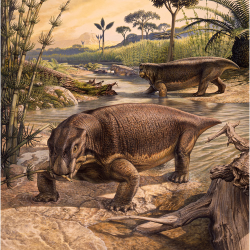 Lystrosaurus scene (c) John Sibbick