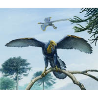 Archaeopteryx scene (c) John Sibbick