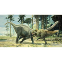 Allosaurus attacking Diplodocus  (c) John Sibbick