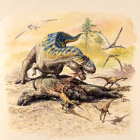 Tyrannosaurus scavenging  (c) John Sibbick