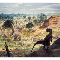 Apatosaurus  herd and Ceratosaurus  (c) John Sibbick