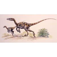 Velociraptor mongoliensis - vignetted scene (c) John Sibbick