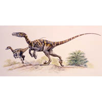 Velociraptor mongoliensis - vignetted scene (c) John Sibbick