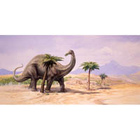 Apatosaurus (c) John Sibbick
