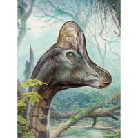 Hypacrosaurus  (c) John Sibbick