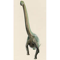 Brachiosaurus, fully fleshed  (c) John Sibbick