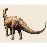 Euskelosaurus  (c) John Sibbick