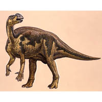 Muttaburrasaurus (c) John Sibbick