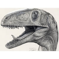 Deinonychus portrait, side  (c) John Sibbick