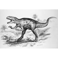 Gasosaurus  (c) John Sibbick