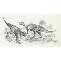 Hypsilophodont and Dryosaurus  (c) John Sibbick
