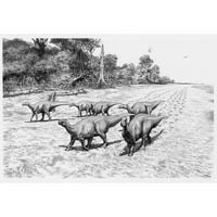 Iguanodon group (Alameda Tracks)  (c) John Sibbick