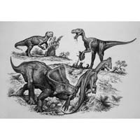Mongolian group, Psittacosaurs, Velociraptor, Proceratops, Oviraptor (c) John Sibbick
