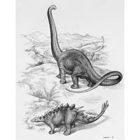 Omeisaurus and Huayangosaurus  (c) John Sibbick