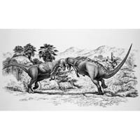 Pachycephalosaurs (c) John Sibbick