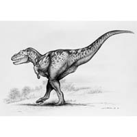 Tarbosaurus  (c) John Sibbick