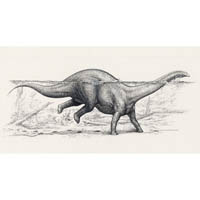 Apatosaurus swimming (c) John Sibbick