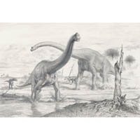 Brachiosaurus - adult and juvenile  (c) John Sibbick