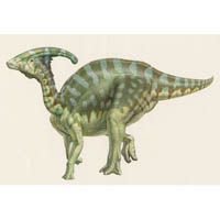 Parasaurolophus, camouflage pattern  (c) John Sibbick