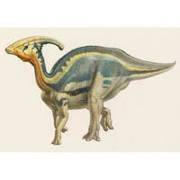 Parasaurolophus, display pattern  (c) John Sibbick