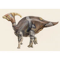 Parasaurolophus disruptive pattern  (c) John Sibbick