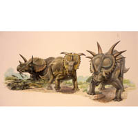 Triceratops, Pachyrhinosaur, Styracosaurus  (c) John Sibbick