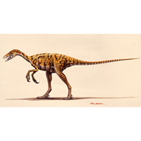 Troodon portrait  (c) John Sibbick