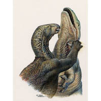 Iguanodon stabbing Theropod  (c) John Sibbick