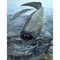 Dunkleosteus & Cladoselache - Devonian  (c) John Sibbick