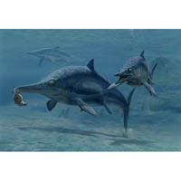 Ichthyosaur, Brachypterygius (c) John Sibbick