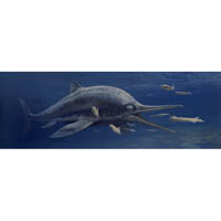 Ichthyosaur, Leptopterygius (c) John Sibbick