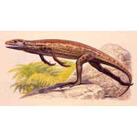 Heleosaurus (vignette)  (c) John Sibbick