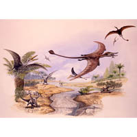 Pterodactylus/Rhamphorynchus  (c) John Sibbick
