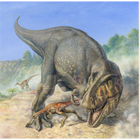 Tyrannosaurus rex and Troodon (c) John Sibbick