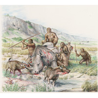 Boxgrove man butchering  rhino  (c) John Sibbick