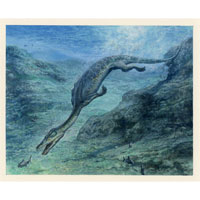 Nothosaurus (c) John Sibbick