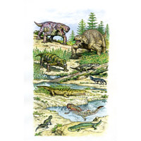 Late Permian Vyatskian fauna (coloured version) (c) John Sibbick