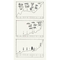 Sea, Land, Time diagram (c) John Sibbick